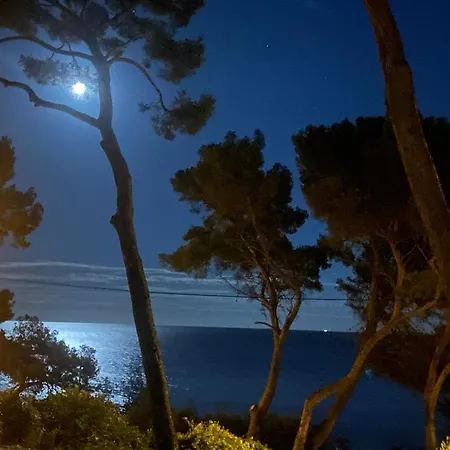 Grande Face A La Plage, Superbe Vue